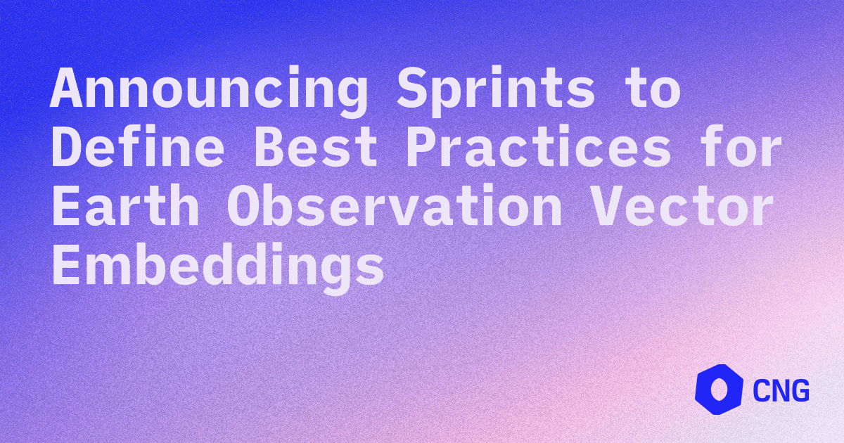 Sprints to Define Best Practices for Earth Observation Vector Embeddings
